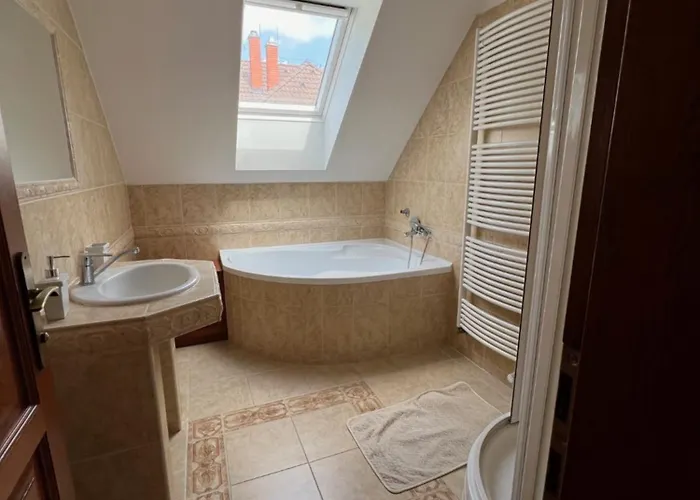 V Nalzovicich 빌라 *